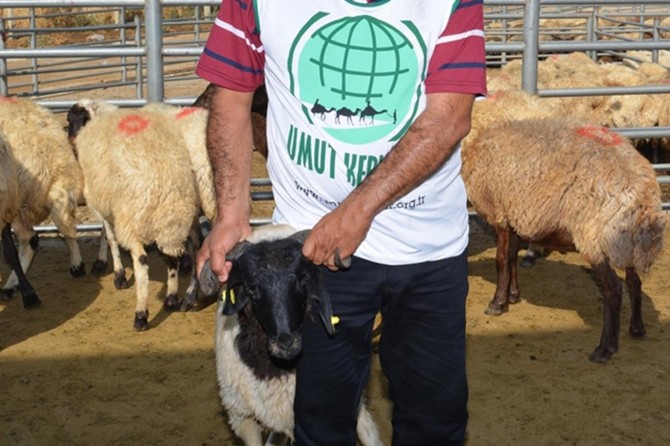 Kerwana Umûdê ya Êlihê dest bi xebatên qurbanê kir