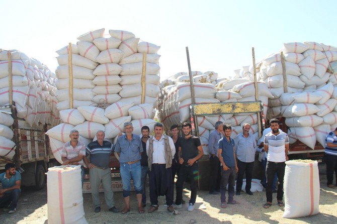 Üretici de besici de saman fiyatlarından şikâyetçi