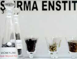 86 Bin Bitki Türü Koruma Altında