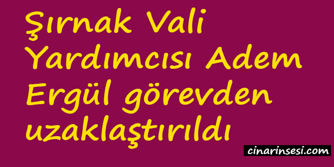 Şırnak Vali Yardımcısı Adem Ergül görevden uzaklaştırıldı