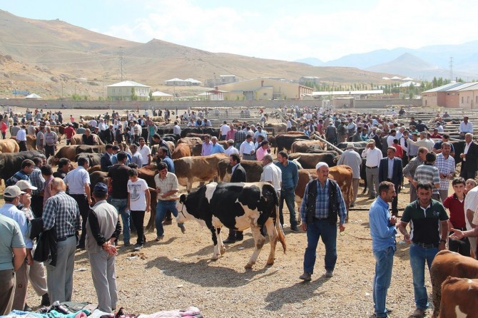 TZOB kurbanlık fiyatlarını açıkladı