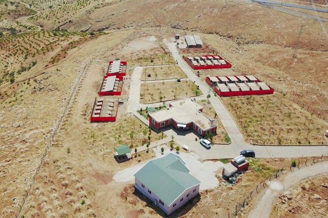 Mardin’de sokak hayvanları için şube müdürlüğü kuruldu
