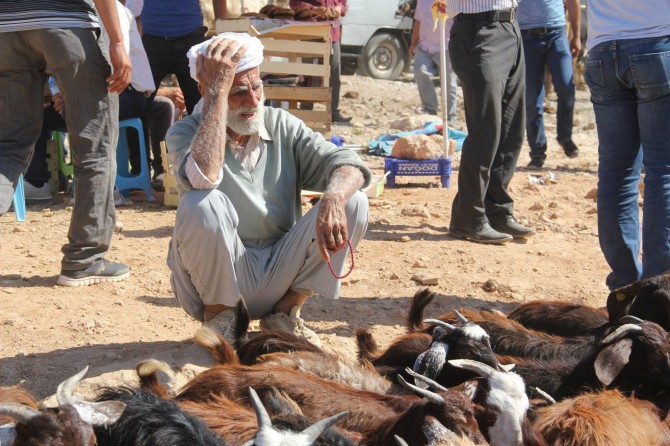 Kurban satıcıları fiyatlardan şikâyetçi