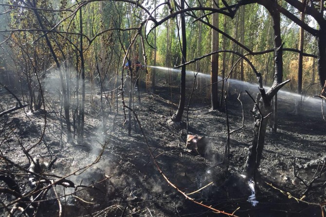Van'da korkutan yangın