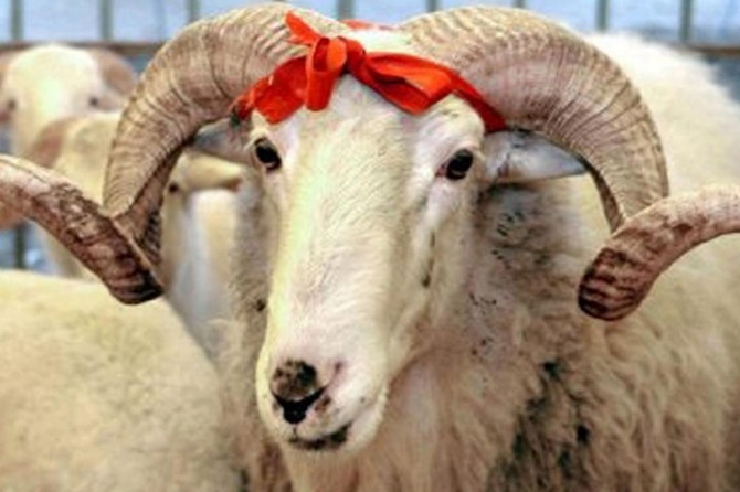 Van Edremit’te kurban kesim yerleri belirlendi