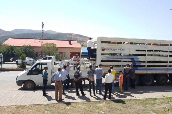 Bingöl Solhan'da genç çiftçilere küçükbaş havyan desteği