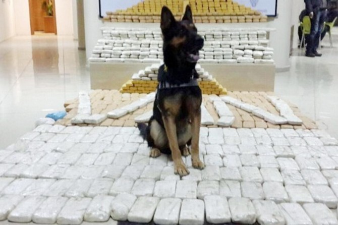 8 ayda 4 ton eroin ele geçirildi