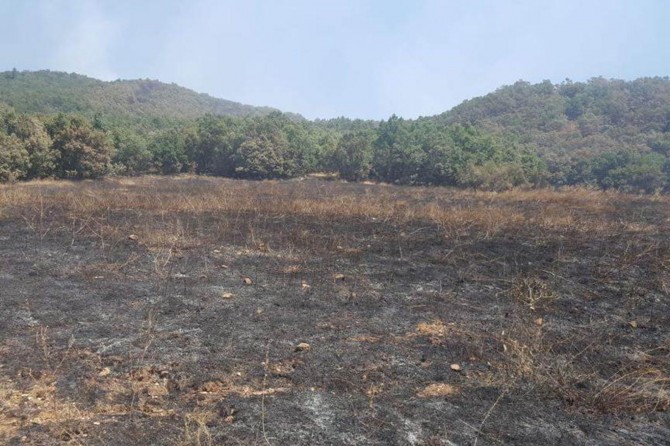 Valilikten "Dersim yanıyor" haberlerine yalanlama