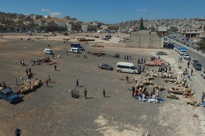Gaziantep'te kurban satış ve kesim yerleri belirlendi