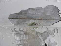 Ev Almadan Önce Bodrumunu Koklayın