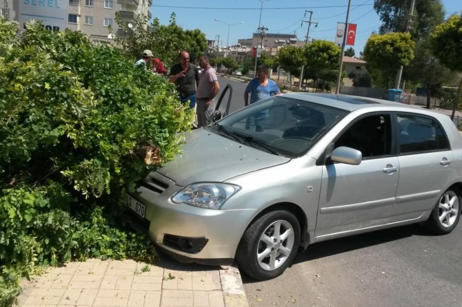 ​Şanlıurfa Mevlana caddesinde kontrolden çıkan otomobil ağacı yerinden söktü