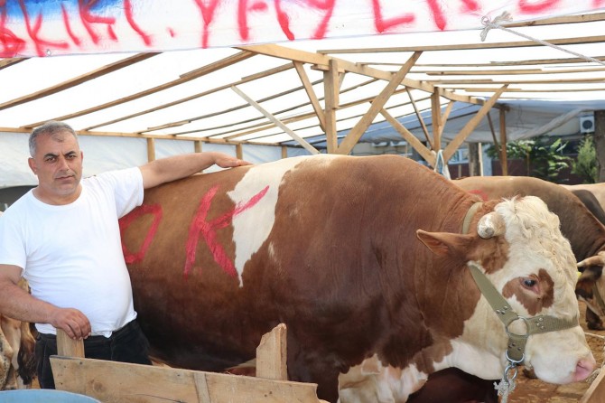 Hayvan yetiştiricileri kurbanlık satışlarından memnun