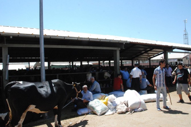 Hayvan satıcıları yem fiyatlarından şikayetçi