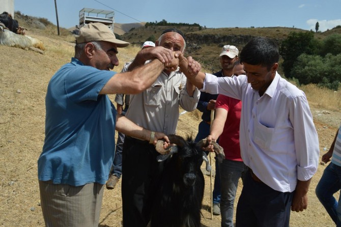 Bayramın bereketi kurban satıcılarının yüzünü güldürüyor