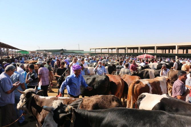 Kurban pazarlarında arefe günü yoğunluğu