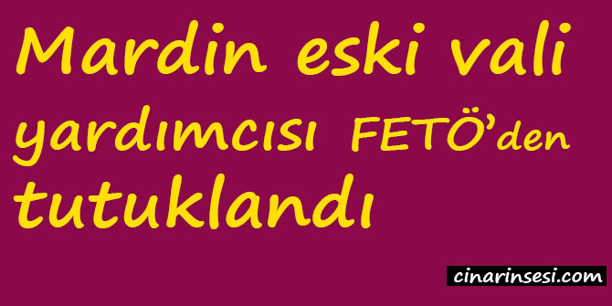 Mardin eski vali yardımcısı FETÖ'den tutuklandı