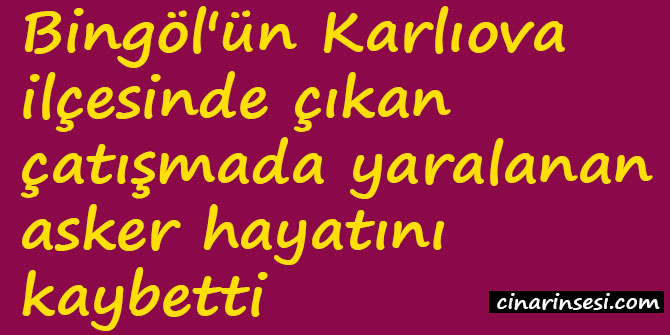 Bingöl Karlıova'da çıkan çatışmada yaralanan asker hayatını kaybetti