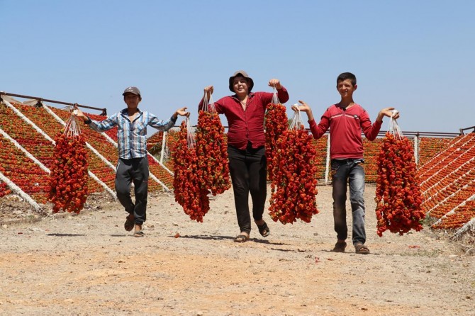 Gaziantep'te kurutmalık sebzeler Suriyelilere ekmek kapısı oldu