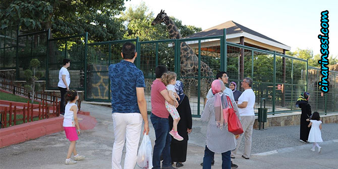 Gaziantep Hayvanat Bahçesini bayram tatilinde 55 bin kişi ziyaret etti
