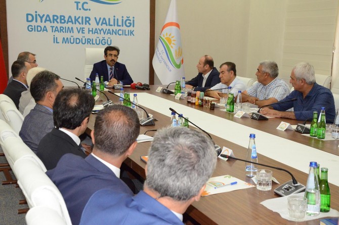 Diyarbakır'da pamuğa dayalı üretim öne çıkacak