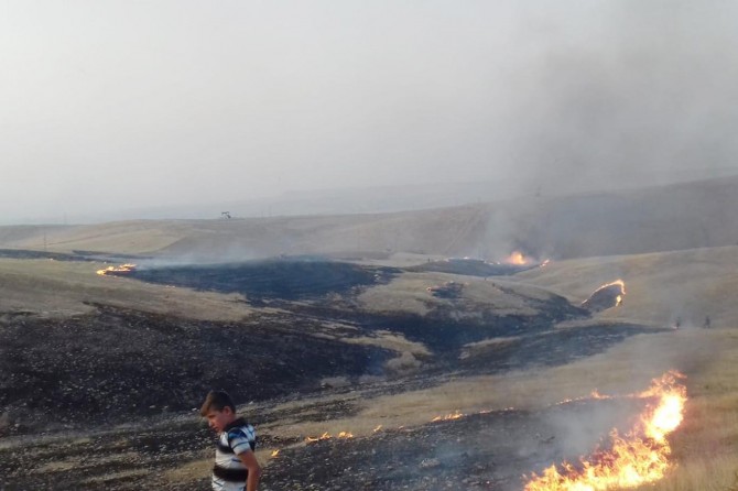 Merası yanan köylüler destek istedi