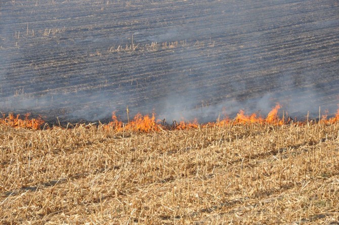 Anız yangınlarını önleyici tedbirler alınmalı