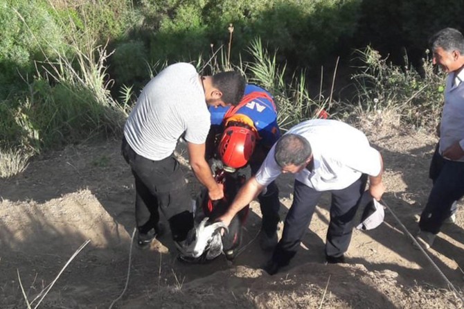 Batman’da kayalıklarda mahsur kalan keçi kurtarıldı