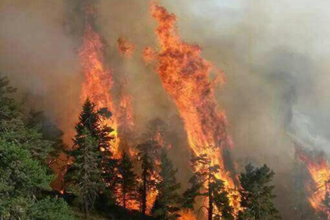 İklim değişikliği orman yangınlarını artırıyor