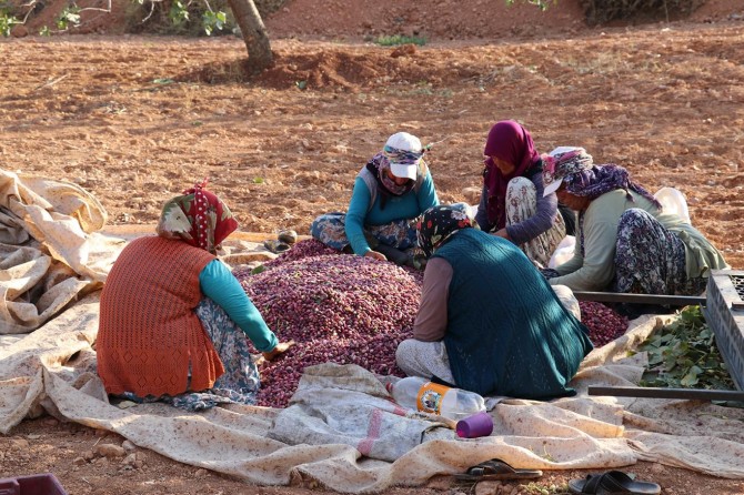 Mevsimlik işçiler personel servisleri ile taşınmalıdır