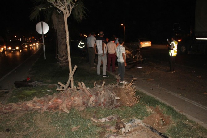 Kızıltepe'de refüje çıkan otomobil ağaç ve direkleri söktü: 1 yaralı