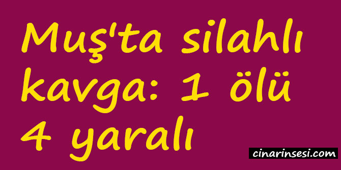 Muş'ta silahlı kavga: 1 ölü 4 yaralı