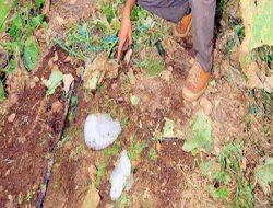 Gökten 10 Kiloluk Buz Düştü