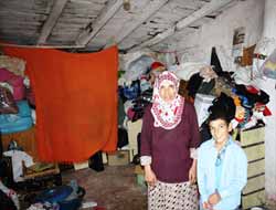 Yardım Edilmezse Kışı Dışarıda Geçirecekler! (Video)