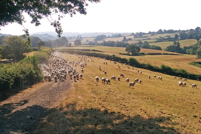 AB'de çiftçiler krizle karşı karşıya