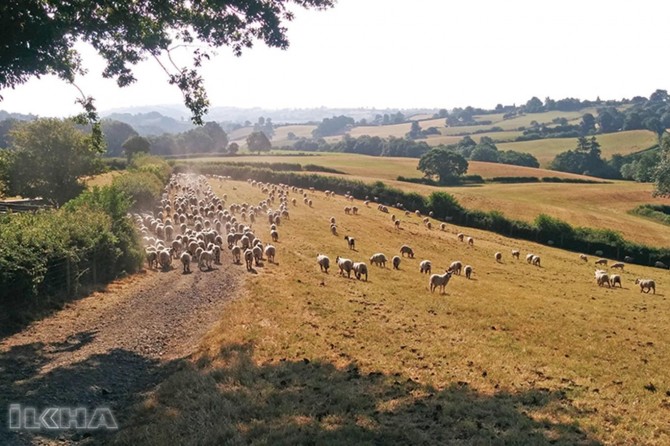 Farmers in the EU face the crisis