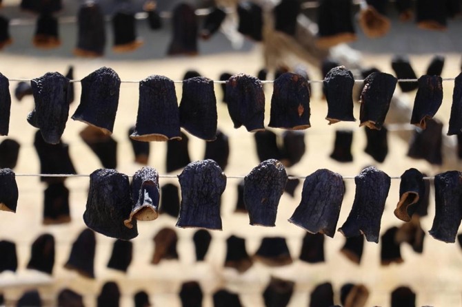 Gaziantep'in kurutmalık patlıcanı tescillendi