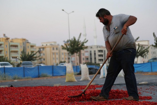 İsot üreticilerine yer tahsis edilecek