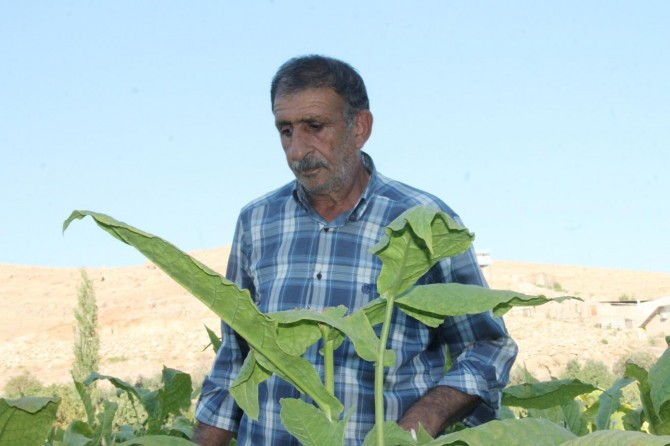 ​12 Eylül mağduru: İşkenceleri hatırladığımda tüylerim diken diken oluyor