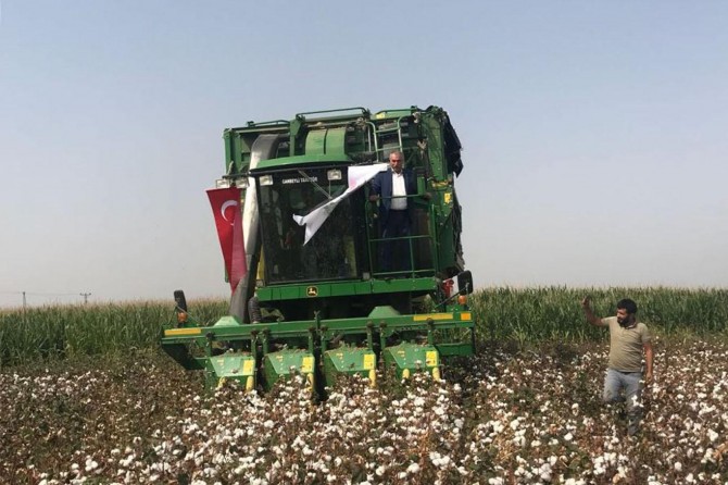 ​Şanlıurfa Viranşehir'de pamuk hasadı başladı