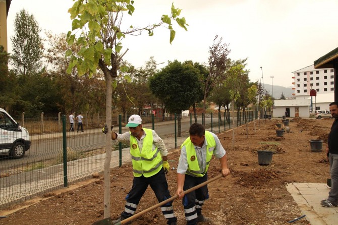 Bingöl'deki Millet Bahçesi’ne 2 bin ağaç dikilecek