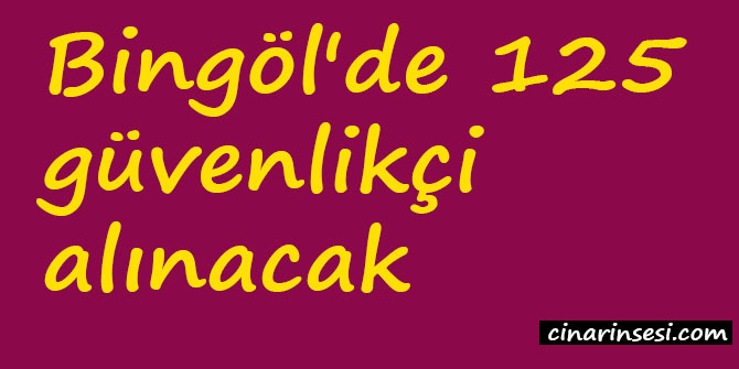 Bingöl'de 125 güvenlikçi alınacak