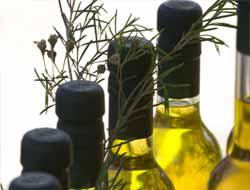Zeytinyağı İhracatı 6 Sezon Sonra Düşüşten Kurtuldu