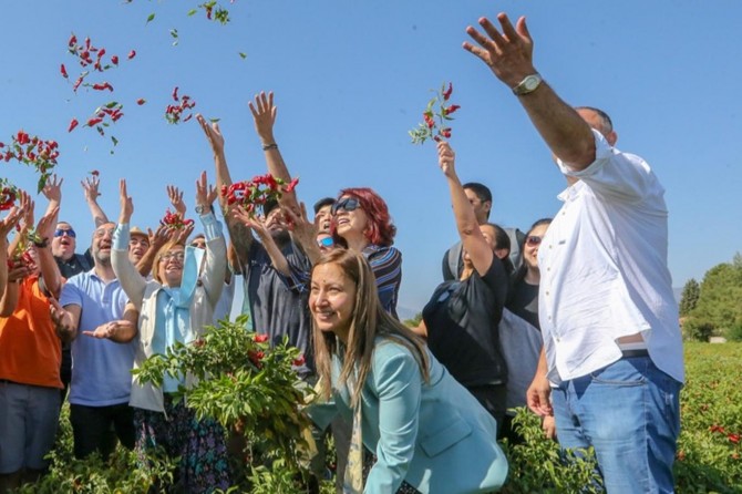 Gastronomi festivali biber hasadı ile başladı