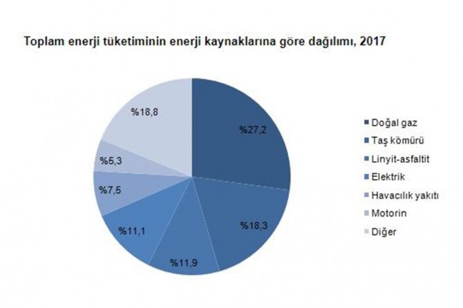 Doğal gaz 2017 yılında en çok tüketilen enerji kaynağı oldu