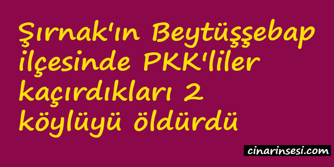 Şırnak Beytüşşebap'ta PKK'liler kaçırdıkları 2 köylüyü öldürdü