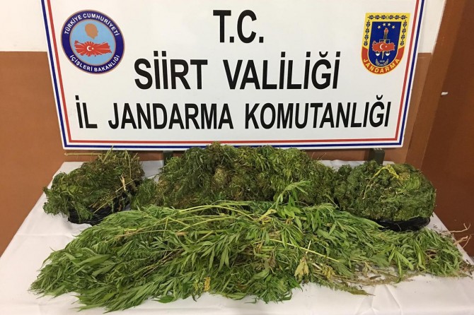 Siirt’te uyuşturucu operasyonu: 5 gözaltı