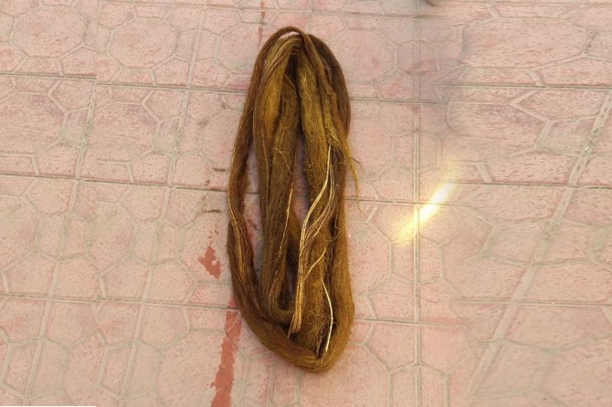 Dut ağacı kökü mahallenin suyunu kesti