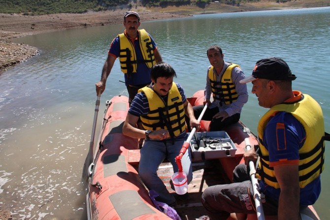 Bingöl’de kafes balık yetiştiriciliği için çalışmalar başladı