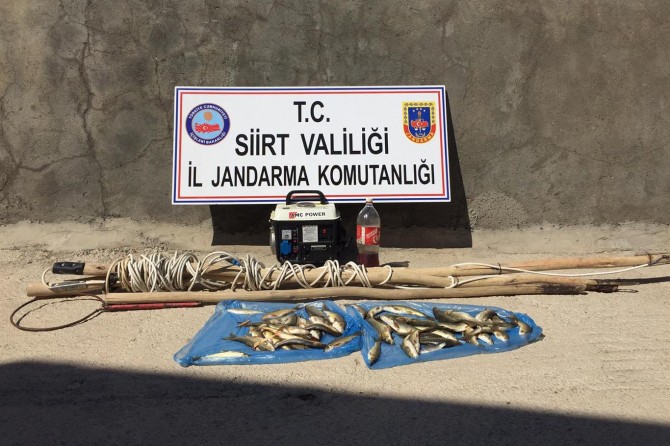 Siirt’te yasa dışı yöntemle balık avlayanlara para cezası