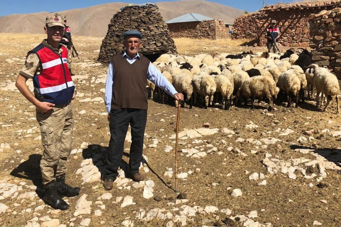 Van Gürpınar'da çalınan 107 küçükbaş hayvan sahibine teslim edildi